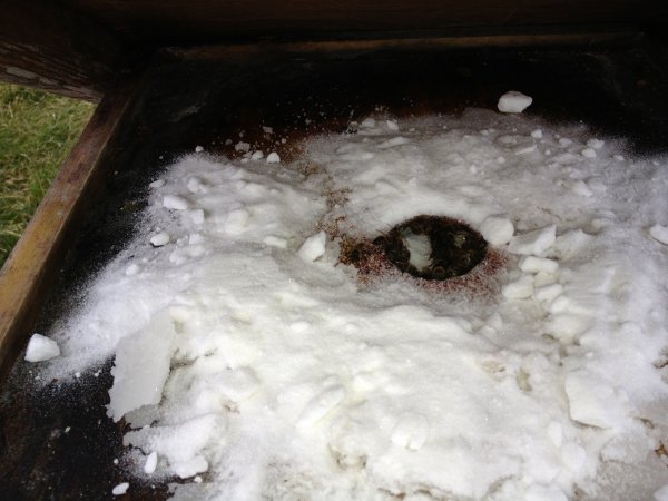 Granulated sugar as Emergency Bee Feed